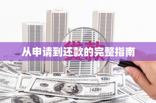 阿勒泰从申请到还款的完整指南