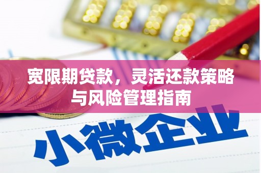 桐城宽限期贷款，灵活还款策略与风险管理指南
