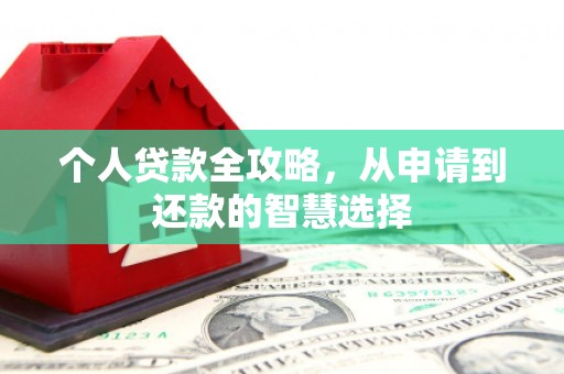 湖西个人贷款全攻略，从申请到还款的智慧选择