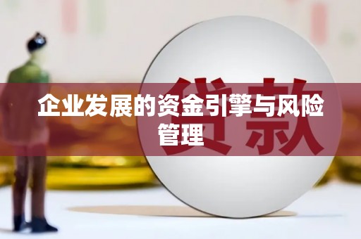 云龙企业发展的资金引擎与风险管理