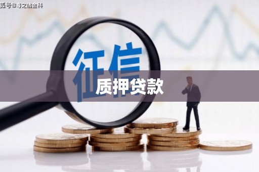 合浦质押贷款