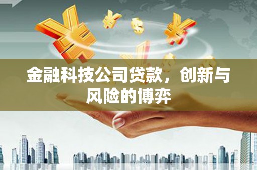 太麻里金融科技公司贷款，创新与风险的博弈