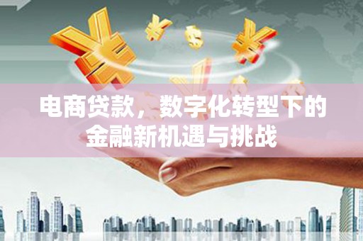 五河电商贷款，数字化转型下的金融新机遇与挑战