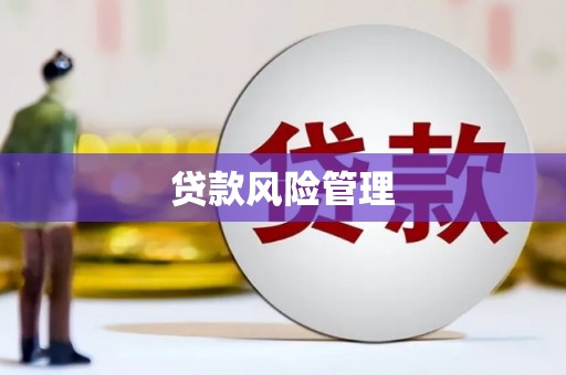 太子河贷款风险管理