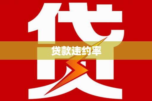 天桥贷款违约率