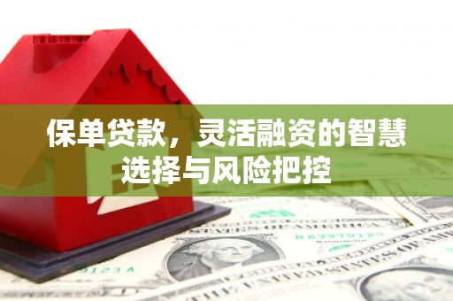 湖内保单贷款，灵活融资的智慧选择与风险把控