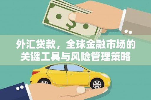 肇源外汇贷款，全球金融市场的关键工具与风险管理策略