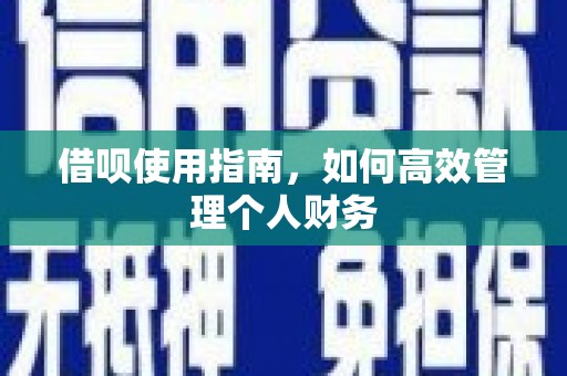阳高借呗使用指南，如何高效管理个人财务
