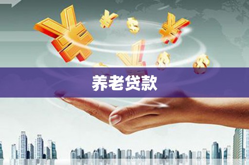 芦山养老贷款