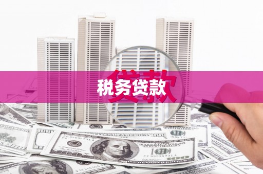 濮阳税务贷款