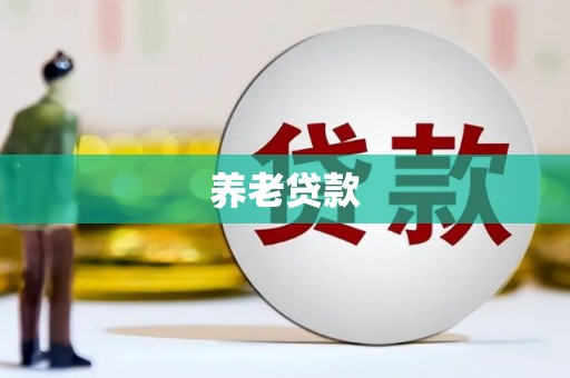 普兰店养老贷款