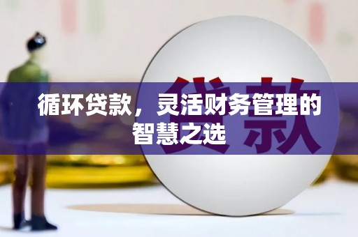 岱山循环贷款，灵活财务管理的智慧之选