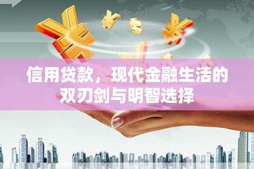 定兴信用贷款，现代金融生活的双刃剑与明智选择