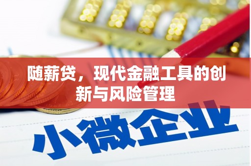 腾冲随薪贷，现代金融工具的创新与风险管理