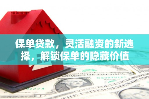 杂多保单贷款，灵活融资的新选择，解锁保单的隐藏价值