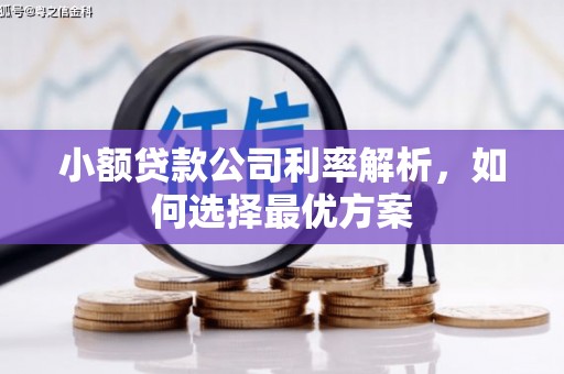梧州小额贷款公司利率解析，如何选择最优方案