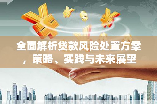 万峦全面解析贷款风险处置方案，策略、实践与未来展望