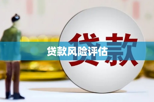 月湖贷款风险评估