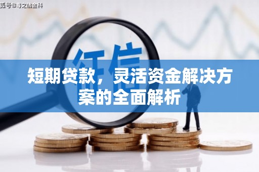 新营短期贷款，灵活资金解决方案的全面解析