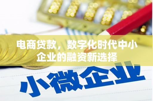 那曲电商贷款，数字化时代中小企业的融资新选择
