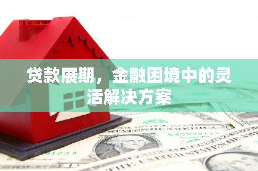 新平贷款展期，金融困境中的灵活解决方案
