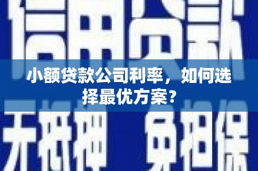 水城小额贷款公司利率，如何选择最优方案？