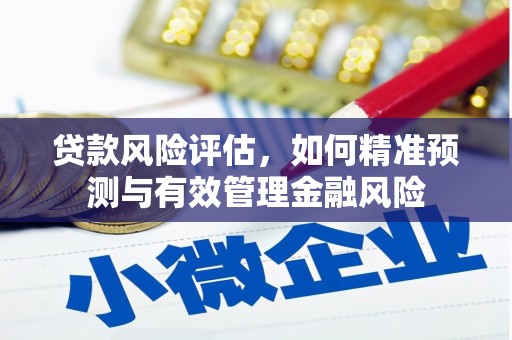 日喀则贷款风险评估，如何精准预测与有效管理金融风险