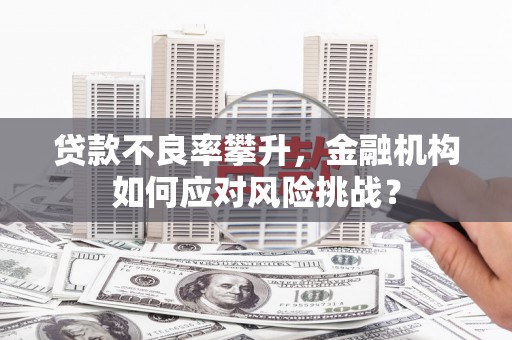大甲贷款不良率攀升，金融机构如何应对风险挑战？