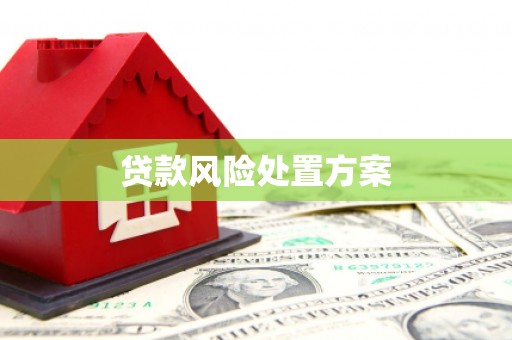 潭子贷款风险处置方案