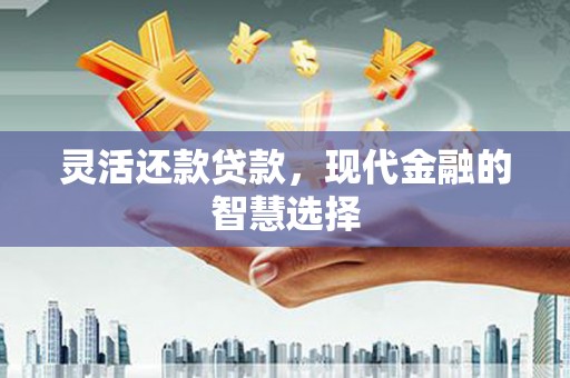 厦门灵活还款贷款，现代金融的智慧选择