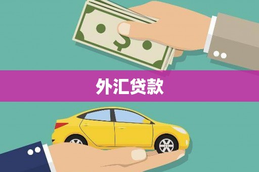 镇雄外汇贷款