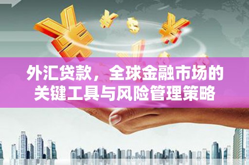 新田外汇贷款，全球金融市场的关键工具与风险管理策略