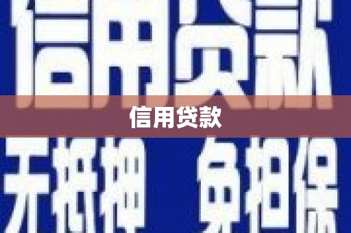 东源信用贷款
