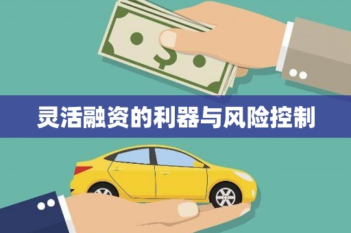 花莲灵活融资的利器与风险控制