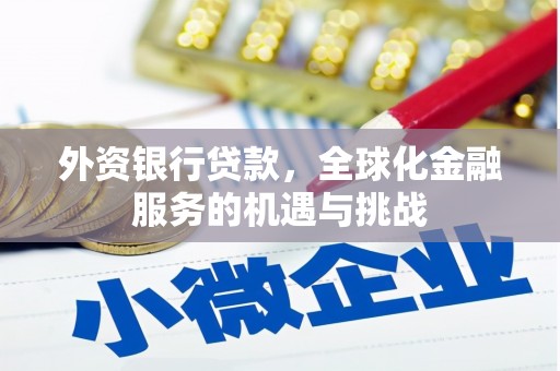 绥滨外资银行贷款，全球化金融服务的机遇与挑战