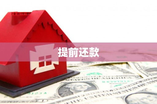 安乡提前还款
