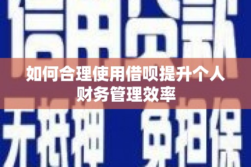 新晃如何合理使用借呗提升个人财务管理效率