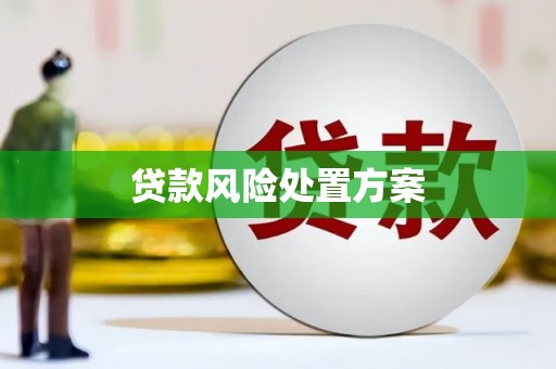 平南贷款风险处置方案