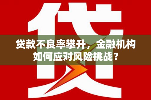 丰满贷款不良率攀升，金融机构如何应对风险挑战？