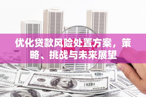杭州优化贷款风险处置方案，策略、挑战与未来展望