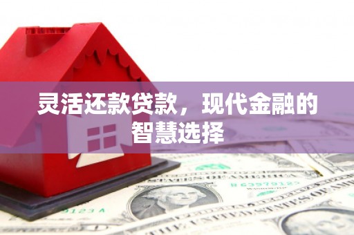 九台灵活还款贷款，现代金融的智慧选择