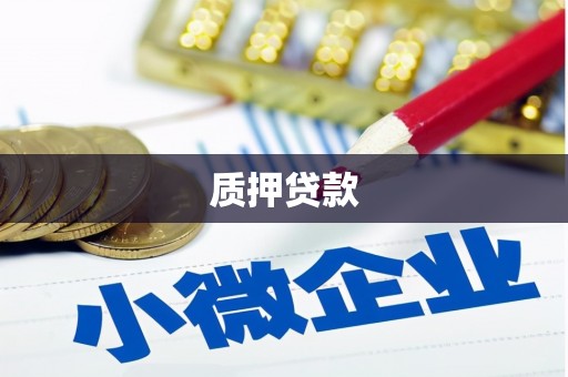 洪湖质押贷款