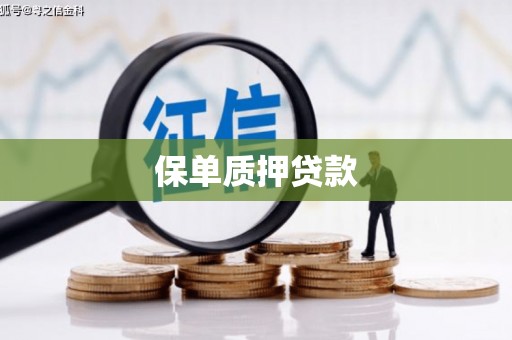 三台保单质押贷款