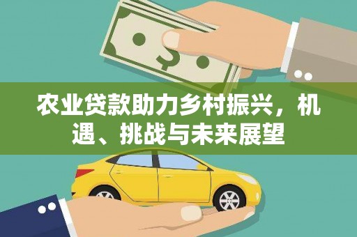 麒麟农业贷款助力乡村振兴，机遇、挑战与未来展望