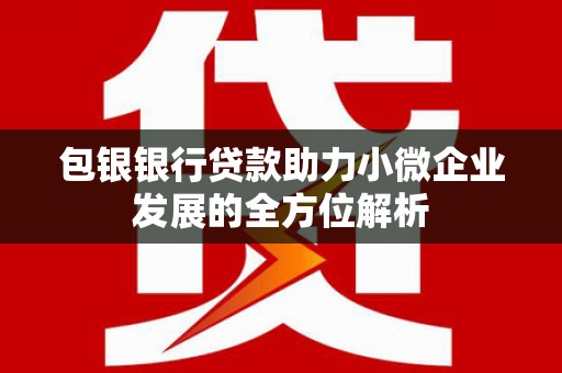 硚口包银银行贷款助力小微企业发展的全方位解析