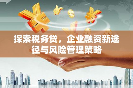 广河探索税务贷，企业融资新途径与风险管理策略