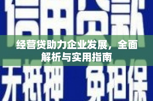 剑阁经营贷助力企业发展，全面解析与实用指南