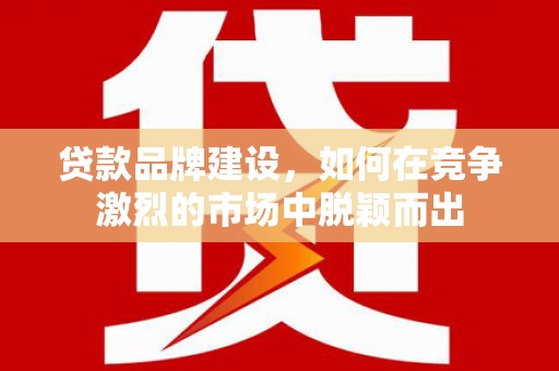 平乐贷款品牌建设，如何在竞争激烈的市场中脱颖而出
