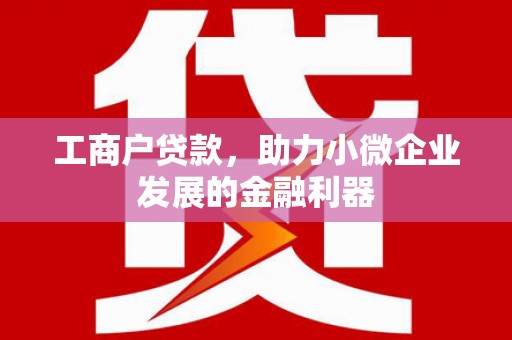 泰宁工商户贷款，助力小微企业发展的金融利器