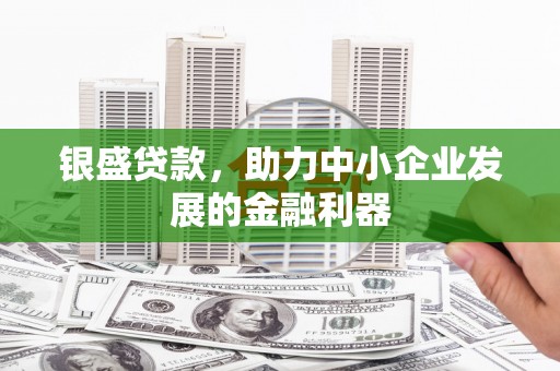 佳县银盛贷款，助力中小企业发展的金融利器